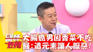 大腸癌男因「香菜」不願吃飯！醫：含「這元素」讓人產生厭惡感！【#醫師好辣】20221031 part2 EP1440 趙國翔 劉雨柔