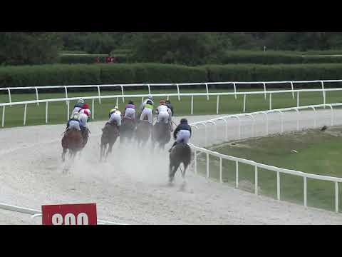 2020.06.28. 02. futam - NYERETLENEK VERSENYE (V.kat.) (szintetikus pálya)