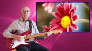 Petite Fleur - Chris Barber's Jazz Band - Cover by Dave Monk