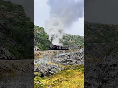 White Pass 73 Powers Up the Grade — Narrow-Gauge Steam | #Shorts