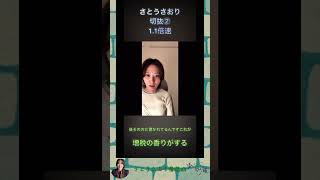 さとうさおり切抜②増税の香りがする1.1倍速 #shorts #さとうさおり #減税党