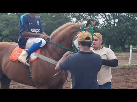 Festa de vaqueiro 21 de janeiro de 2026