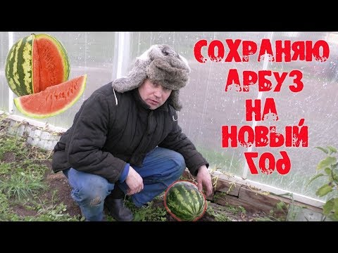 Как сохранить арбуз до Нового года #простойспособ