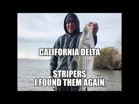 Back to the Delta for more Stripers