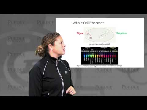 nanoHUB-U Biodesign L5.4: Cellular Devices - Cells as Biosensors II