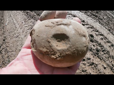 Ancient Artifacts surface hunting Ohio 3/10/2023