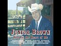 Joe the Singing Janitor by Junior Brown