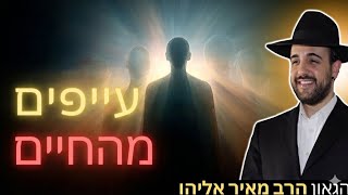 הרב מאיר אליהו | נמאס כבר מהכל | משכן יהודה - ה׳תשפ״ו (הרב מאיר אליהו) - התמונה מוצגת ישירות מתוך אתר האינטרנט יוטיוב. זכויות היוצרים בתמונה שייכות ליוצרה. קישור קרדיט למקור התוכן נמצא בתוך דף הסרטון
