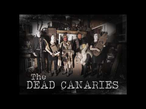I Wasn't Expecting This - The Dead Canaries
