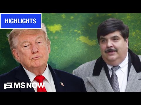 Trump’s Sketchy No-Bid Reflecting Pool Contract | MS NOW Highlights