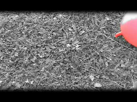 Peha - Spomaľ  ( videoklip )