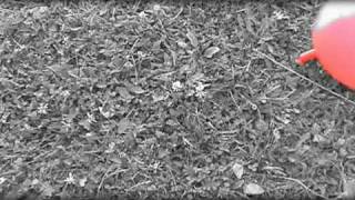Peha - Spomaľ ( videoklip ) Peha - Spomaľ ( videoklip )