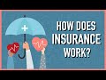 How Does Insurance Work