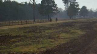 storm swede,shadows fall