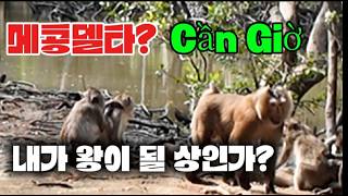 20260223;07;30  베트남 호치민   자연생태보호구역  껀저(Cần Giờ)@88역마살(驛馬煞)