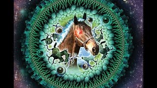 Horse Destroys the Universe - Now on Sale