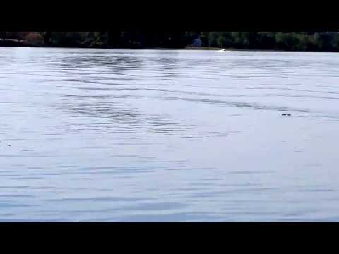 72 years old 112 miles an hour 3/4 THROTTLE