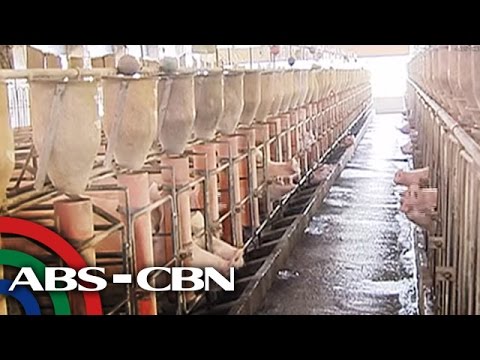 Panalangin para sa pagbaba ng timbang Natalia Kalusugan ng Kababaihan Strategy malalim detox slimming