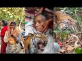 ⚠️एक बाघ ने 45 साल की महिला को मार डाला😭Tiger Attack Woman In Jungle Safari Wild Animals Attack Vlog