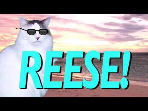 HAPPY BIRTHDAY REESE! - EPIC CAT Happy Birthday Song