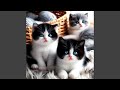 Cute Kitten Meow Meow 3