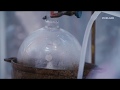 Hamilton S Pharmacopeia S2E06 A Clandestine Chemist S Tale