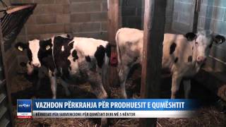 BUJQIT MUND TE APLIKOJNE PER SUBVENCIONE PER PRODHIMIN E QUMESHTIT