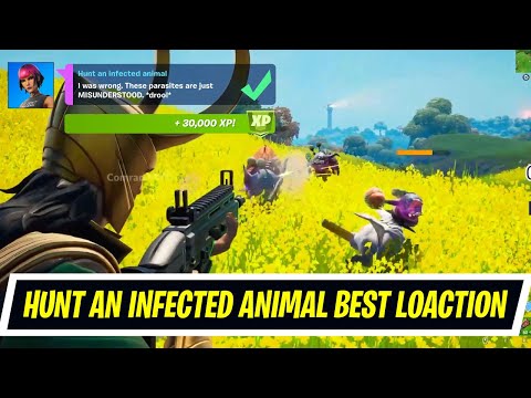 Hunt an infected animal locations - Week 4 Epic Quest Challenges