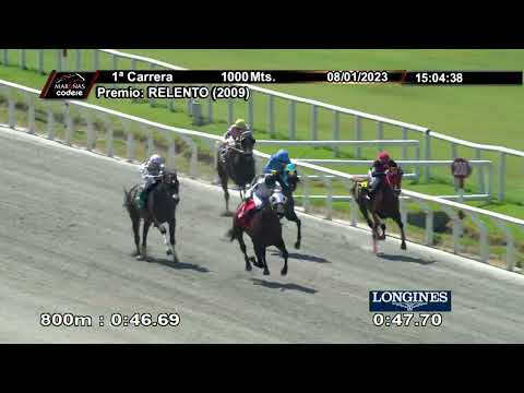 230108 c01 TERRIBLE CHUCHO