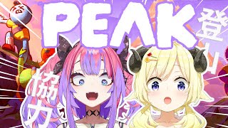 綺々羅々ヴィヴィ - 【 PEAK 】わため先輩と協力して登山するぞおおお【#綺々羅々ヴィヴィ #hololiveDEV IS #FLOWGLOW】