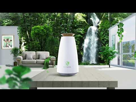 The next generation Air Purifier: EcoHeal E-tree (PSN+PHI Technology)