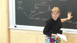 35. Nucleotide Metabolism 2