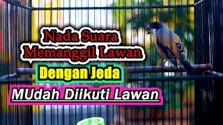 Download lagu ISIAN CEPAT MASUK, MASTERAN CENDET MALAM HARI AGAR GACOR mp3