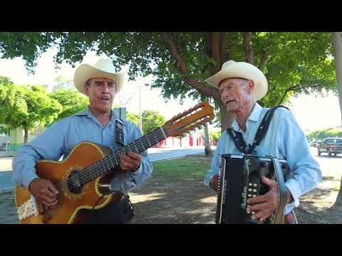 Macario Leyva - Los 2 Amigos De Culiacán (En Vivo)