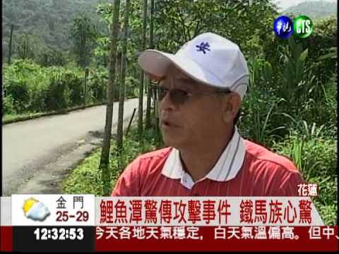 鯉魚潭單車道 青少年圍毆鐵馬族