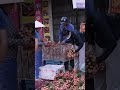 Bizna Kenya 2 Video thumbnail