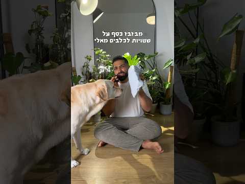 ואללה הייתי בטוח שהכל ילך לפח אבל הכלבה שלי הולכת ליהנות מזה #אילוף #כלב #גור #גורים #כלבים