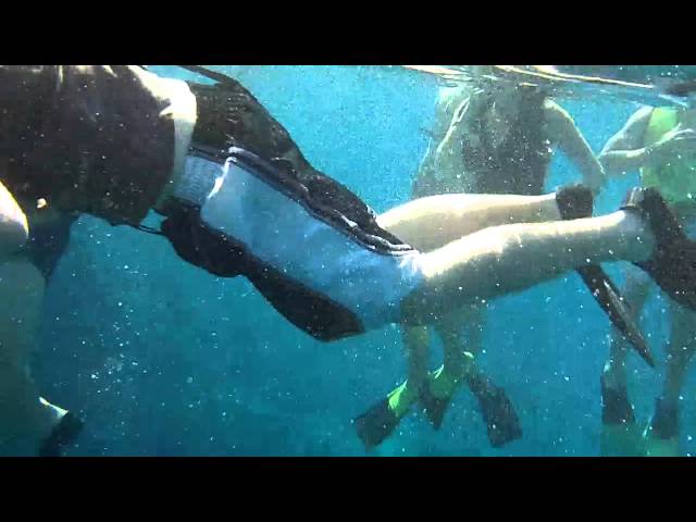 Castaway Girl St. Thomas Snorkeling