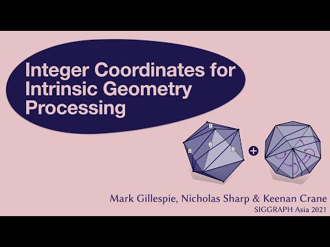 Integer Coordinates for Intrinsic Geometry Processing