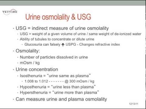 normal specific gravity lab values normal specific gravity lab values
