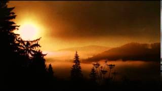 Serj Tankian: Cornucopia video