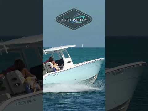 COBIA 262 🔥 | SOUTH FLORIDA BOAT WATCH |