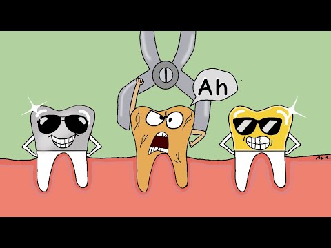Bad tooth funny cartoon #animation #funny #cartoon