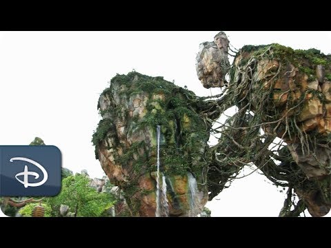 Animal Planet Showcases Disney’s Animal Kingdom: Alive With Magic