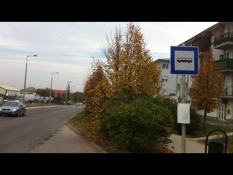 Veszprém 1-es járat; Pápai úti forduló - Autóbusz-állomás