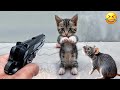 The FUNNIEST Dogs and Cats Shorts Ever😪🐶You Laugh You Lose😻