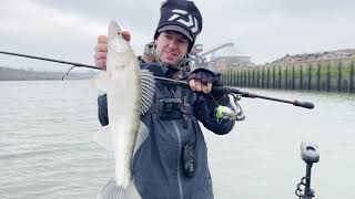 Download lagu Daiwa | Exist G LT 2022 mp3 Download lagu Daiwa | Exist G LT 2022 mp3