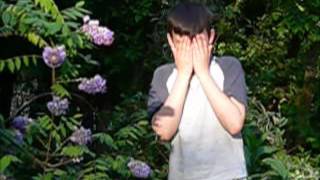 California and the Slipping of the Sun (with lyrics)        Gorrilaz     The Fall