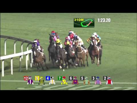 Yeung Sing - Karis Teetan (3 February)