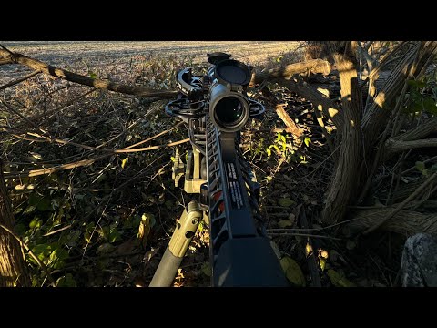 Trying out my new Ravin R500